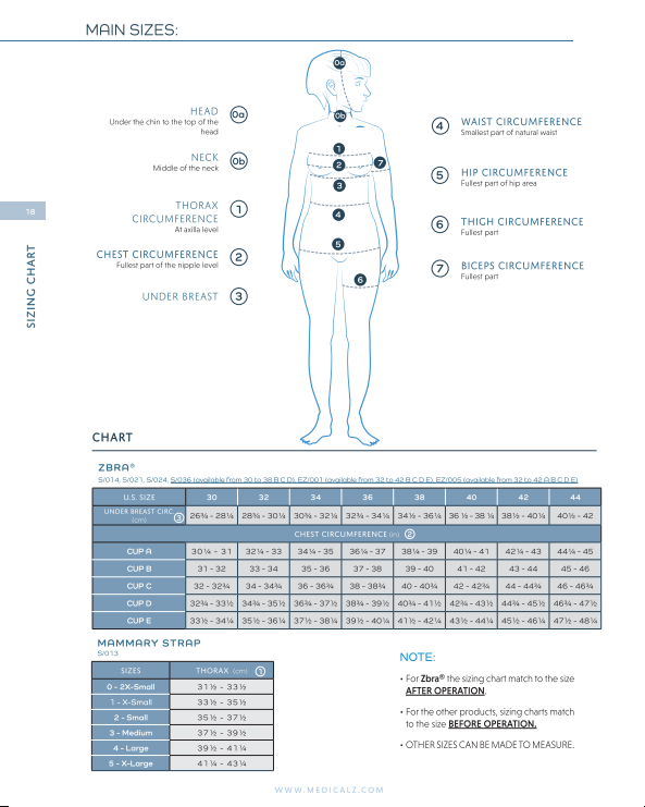 Size chart 2021 - Lipopanty - Zbelt - Press-lift.PNG